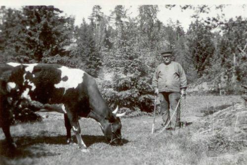 Oskar som kovaktare